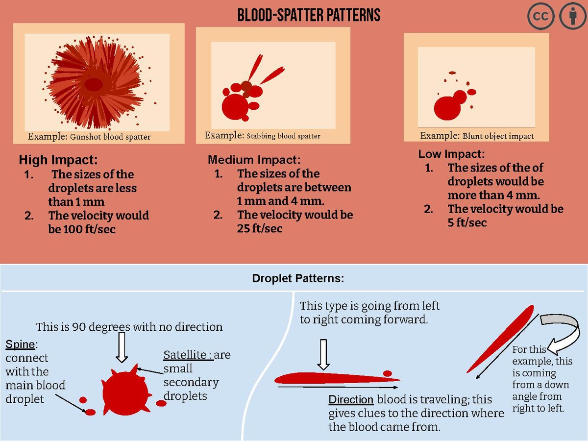 blood test forensic evidence