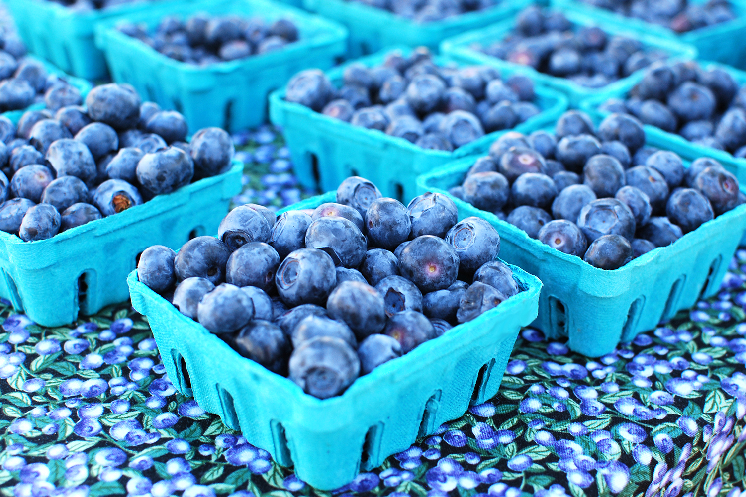 blueberries basket market