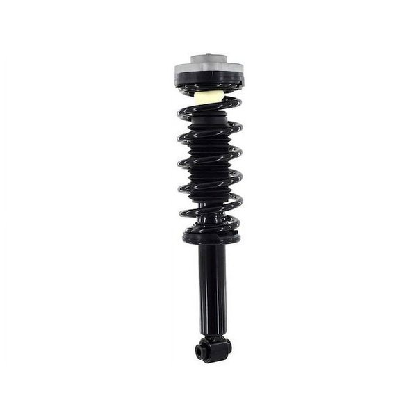 Rear Strut and Coil Spring Assembly