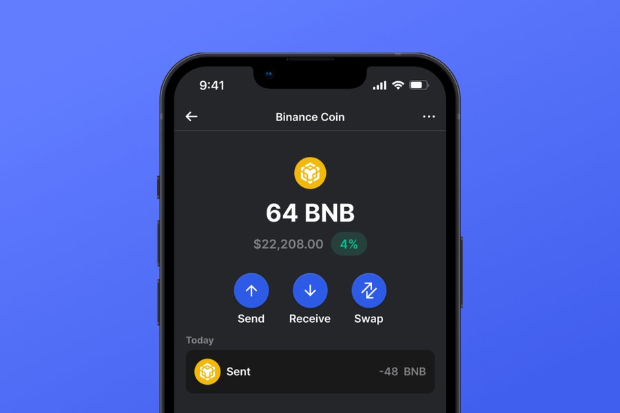 bnb-wallet-erc20-chain-issue-7dz3sbx7