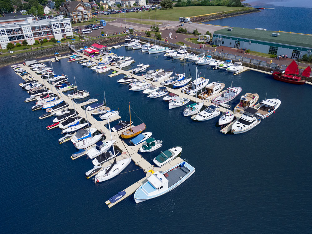 boats docked at marina