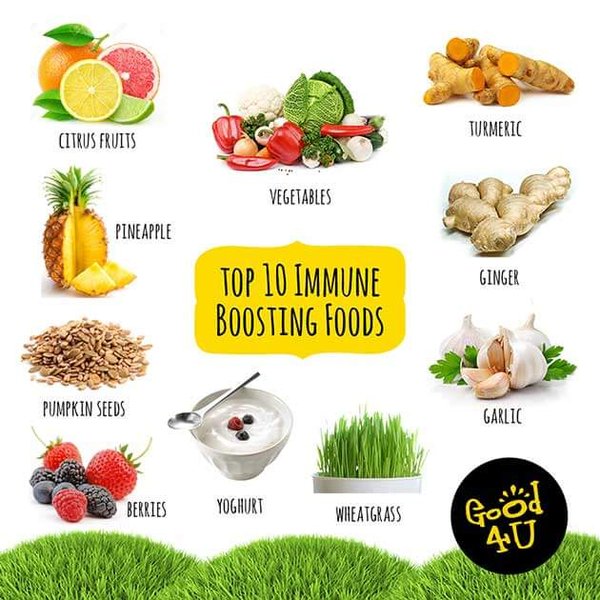 boost-immune-system-strategies-xh3rnkzi