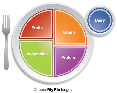 healthy food arrangement