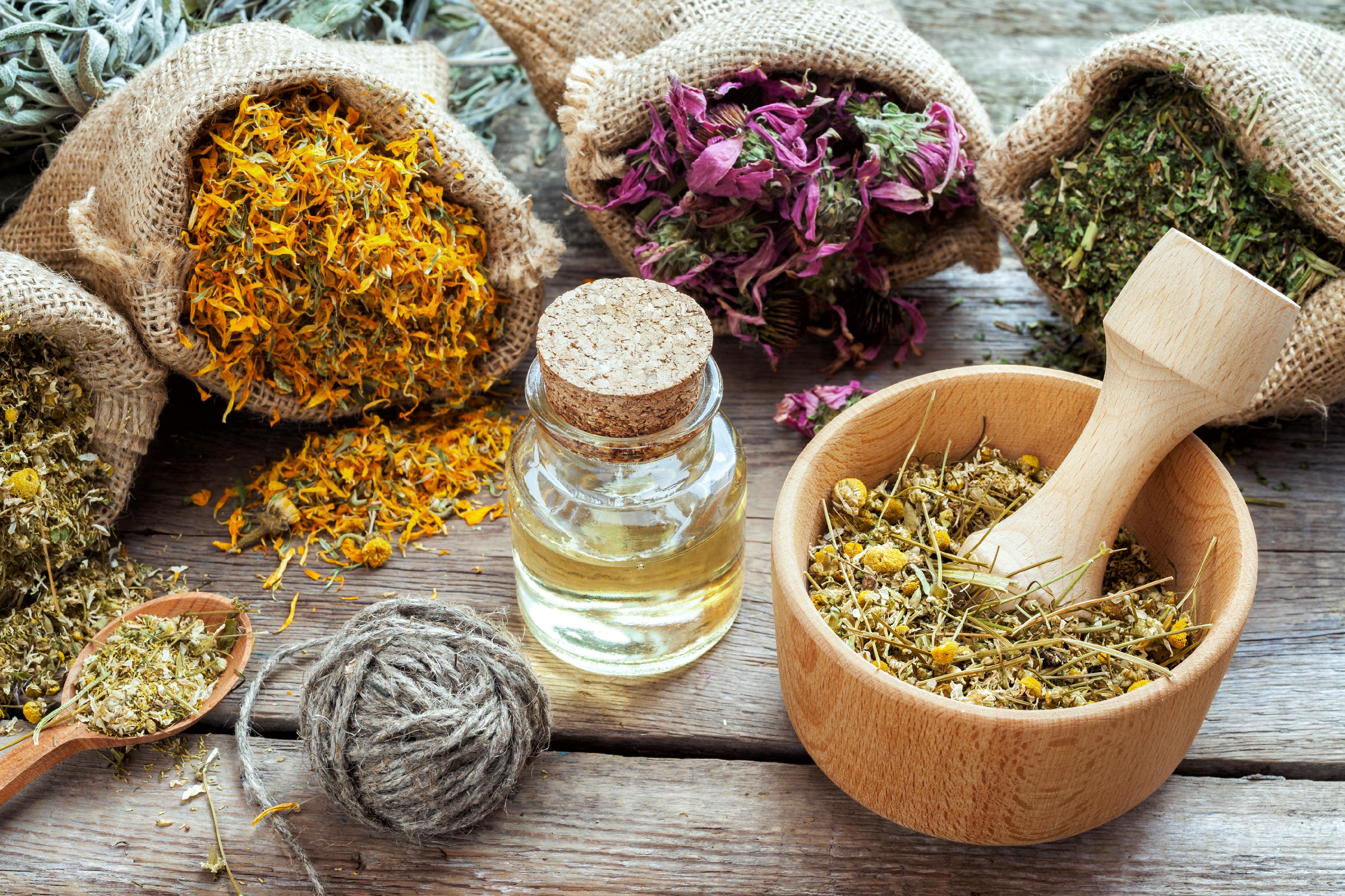 traditional medicinal herbs in natural landscapes