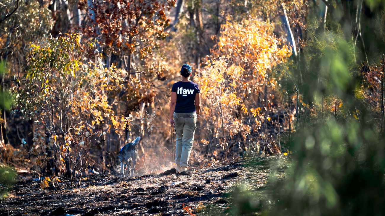 Botswana landscape natural disaster emergency drills