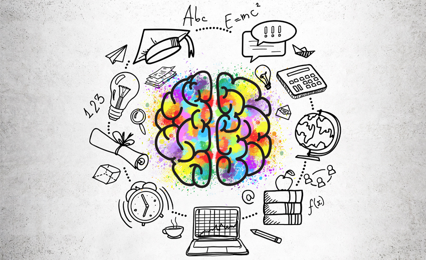 brain neuroscience classroom