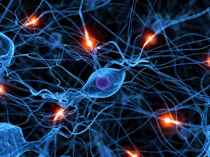 Illustration of an artificial neural network