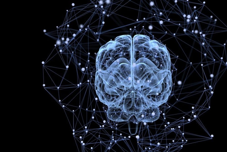 brain-intelligence-nature-nurture-rtrmt7vt