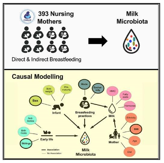 breast milk microbiome