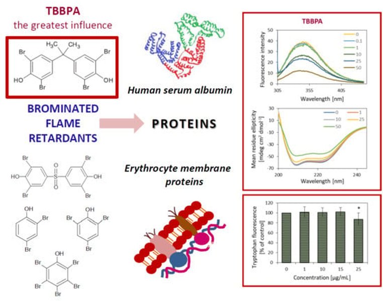 bromines-effect-on-membrane-adsorption-8dz5v21z