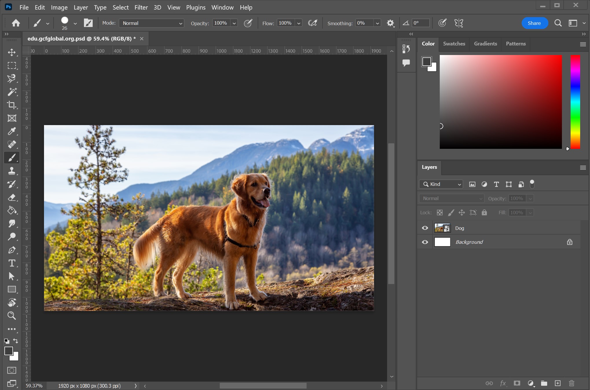 digital photo editing tools interface