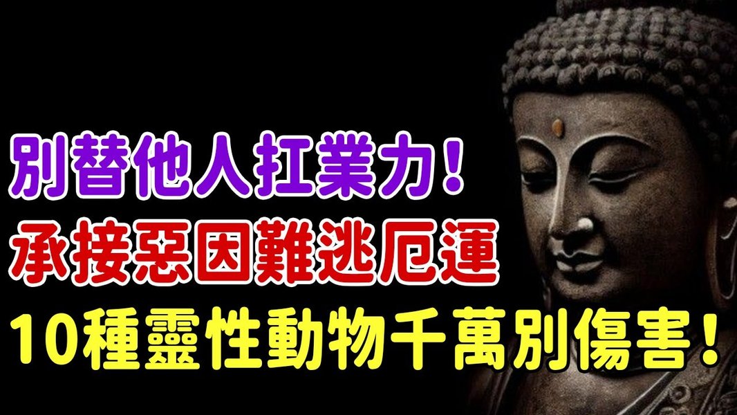 buddhist-view-luck-anxiety-sc4b7kjg