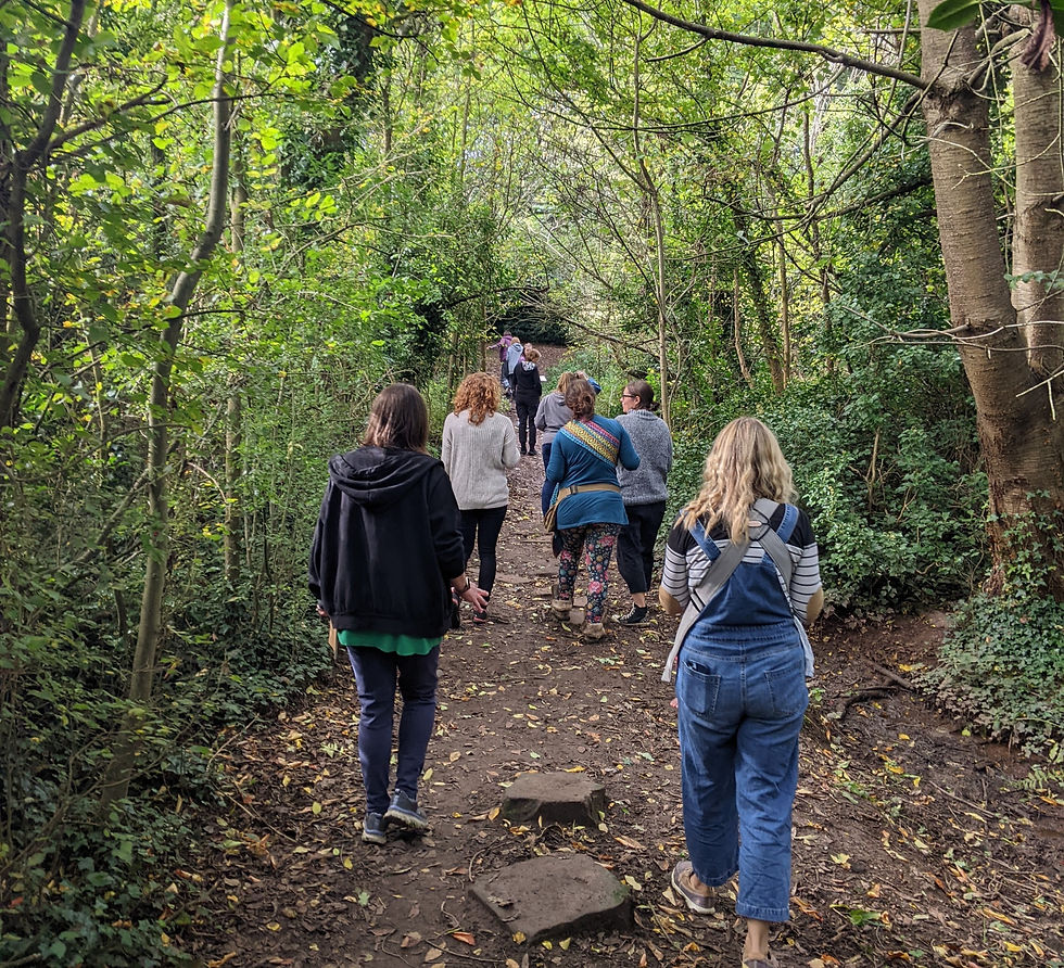 people practicing mindfulness in nature