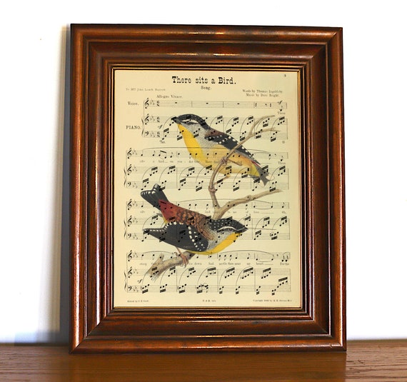 colorful birds and musical artifacts