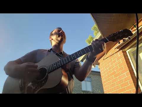 bullfinch playing guitar