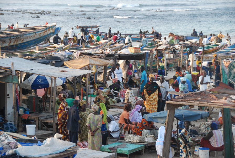 business-plan-poissonnerie-dakar-cwk2af9u
