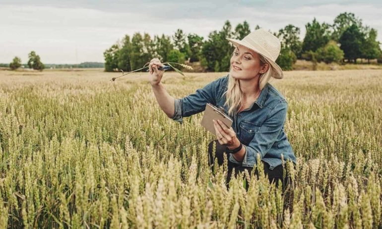 women farmers field