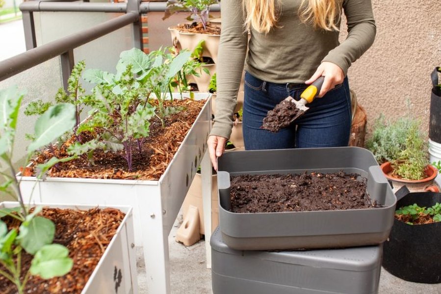 gardening organic fertilizer plants