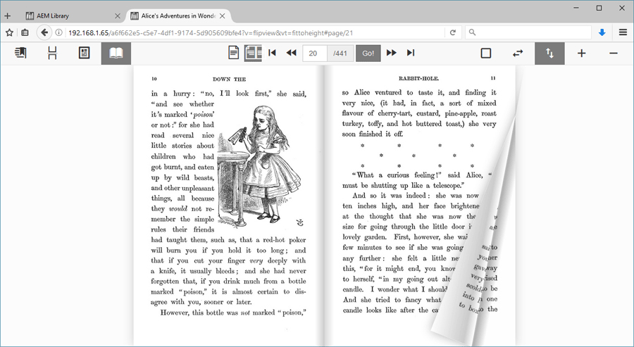 ebook viewer interface