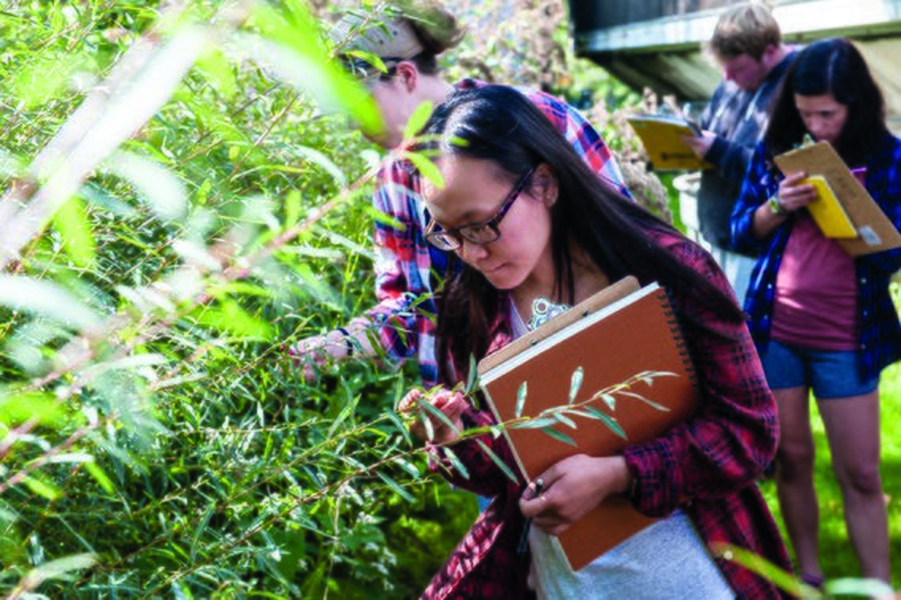 cambridge-as-environmental-management-exam-guide-w7vsst7j