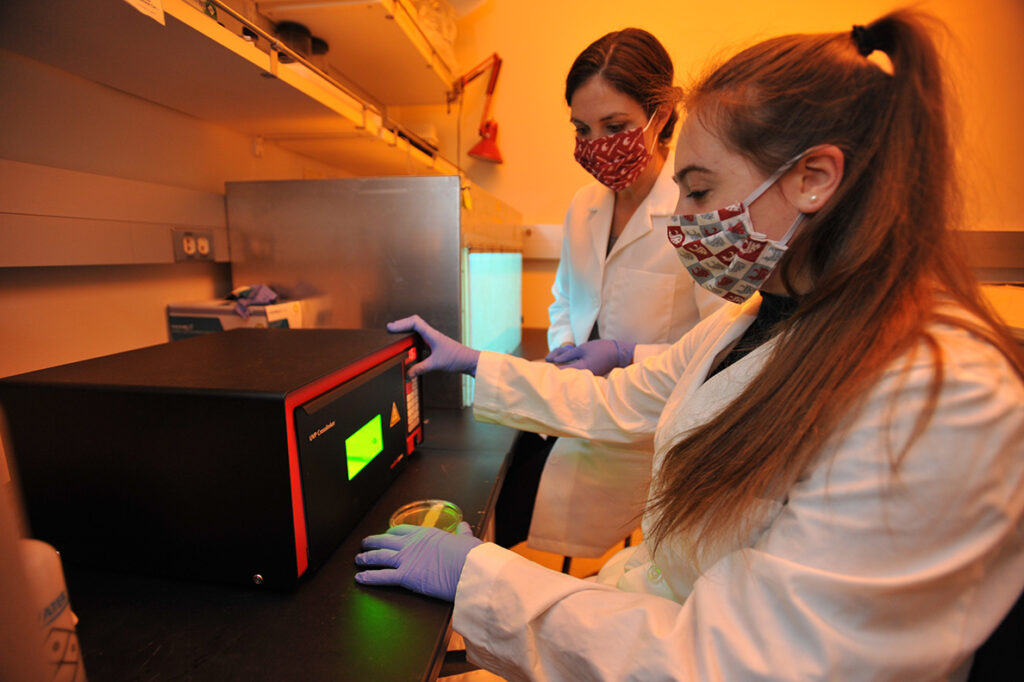 skin cancer research lab UV radiation