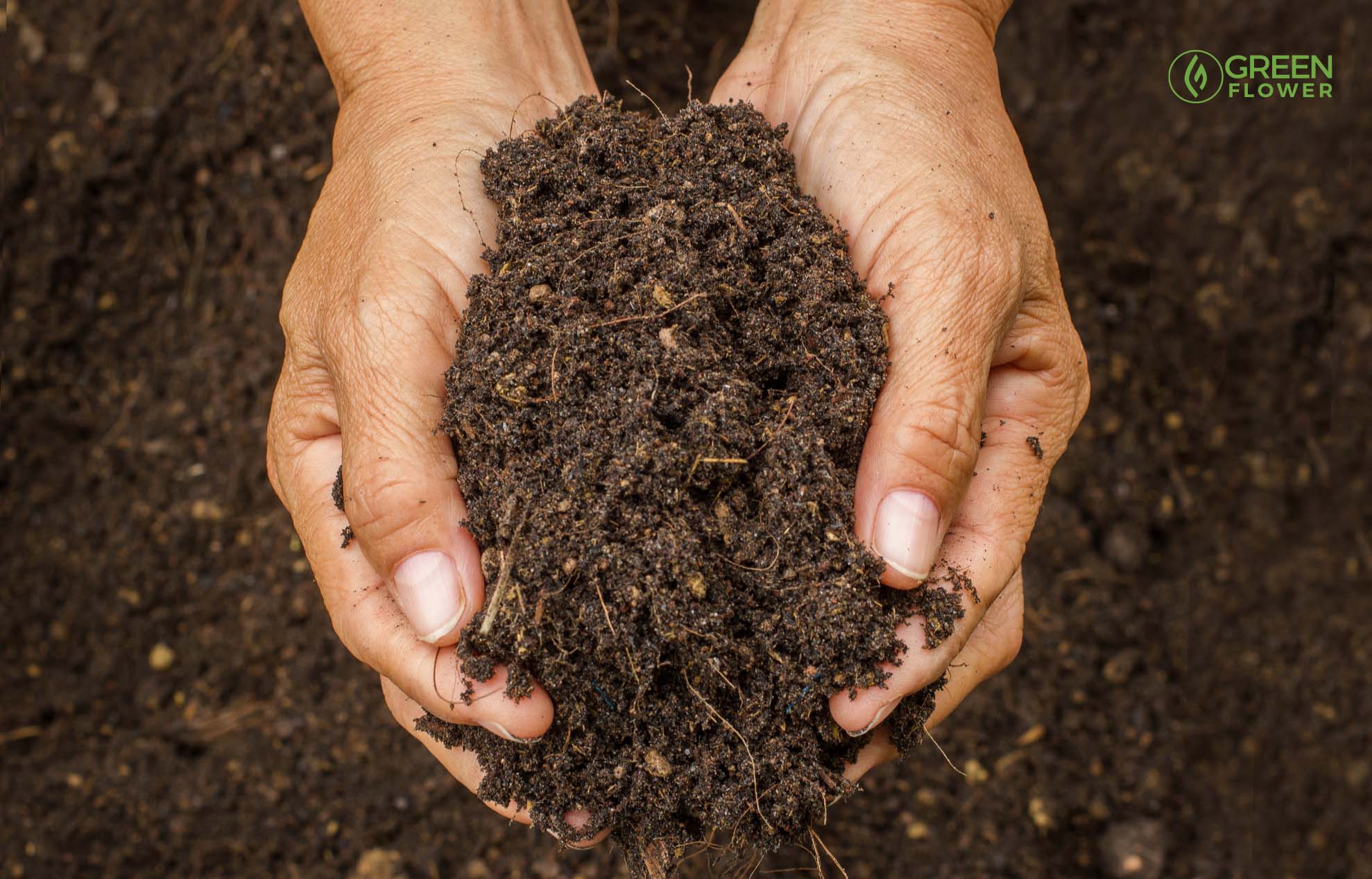 cannabis garden soil textures