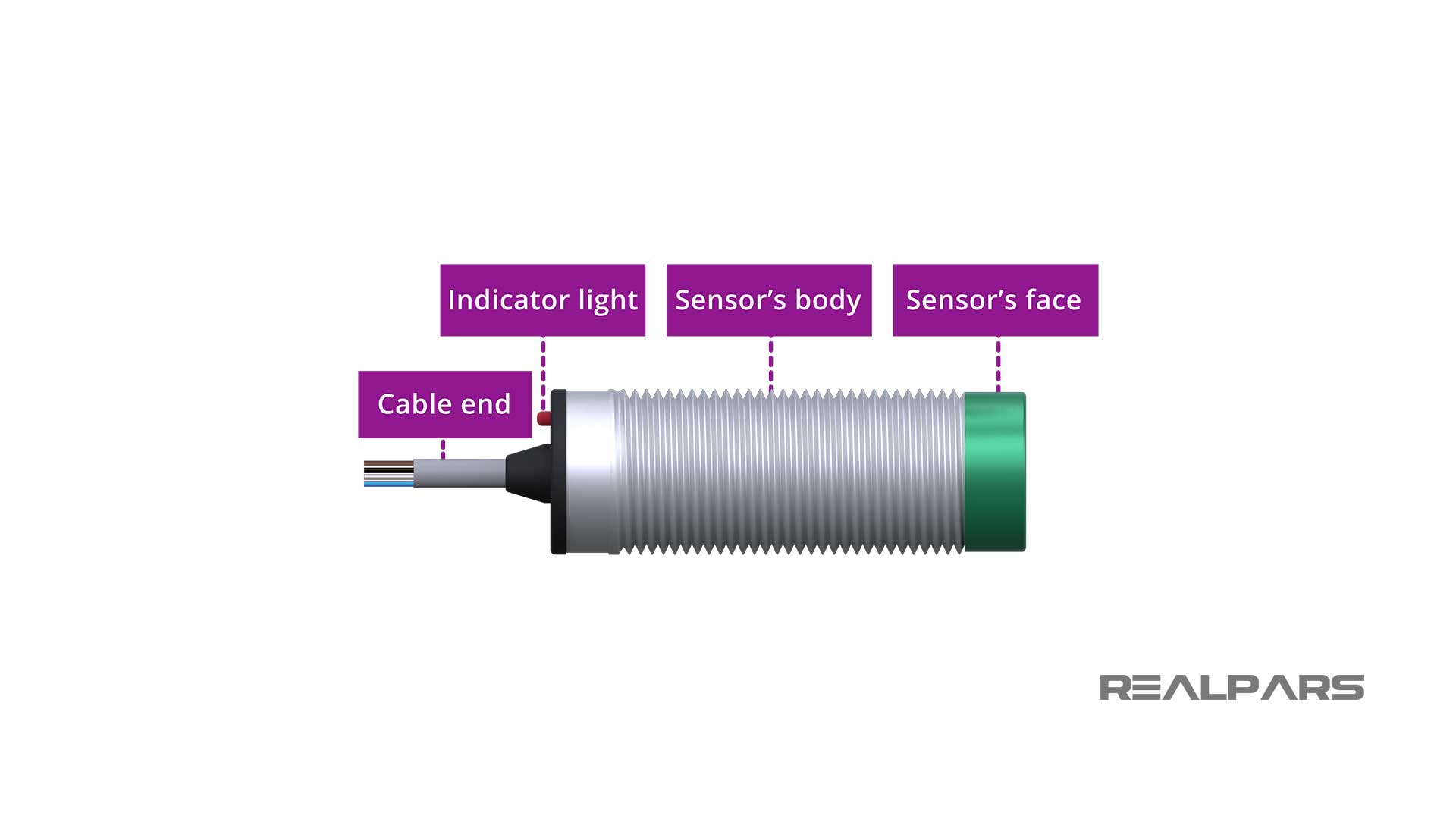 capacitive sensor physical component