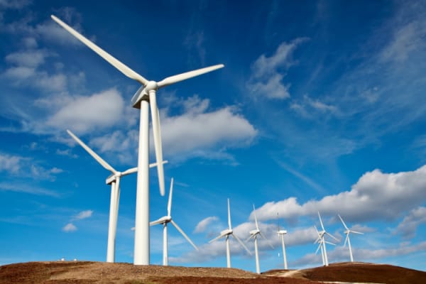 scenic industrial facility with wind turbines