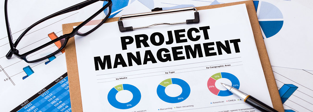project management workshop professional