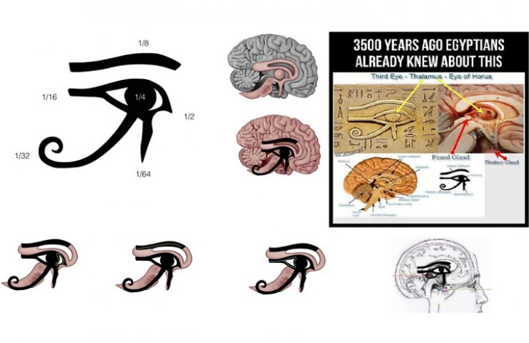 pineal gland ancient artifacts