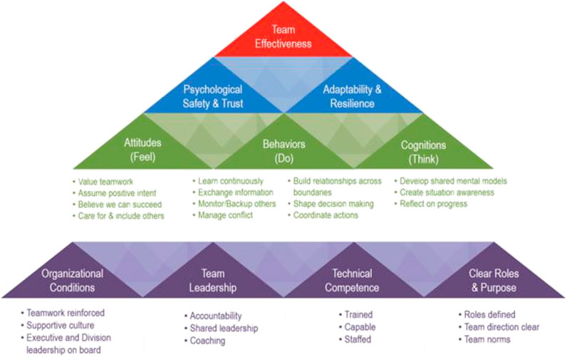 clinical case study, social transformation, healthcare environment