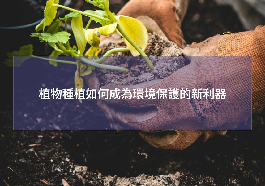 實驗室中的植物研究