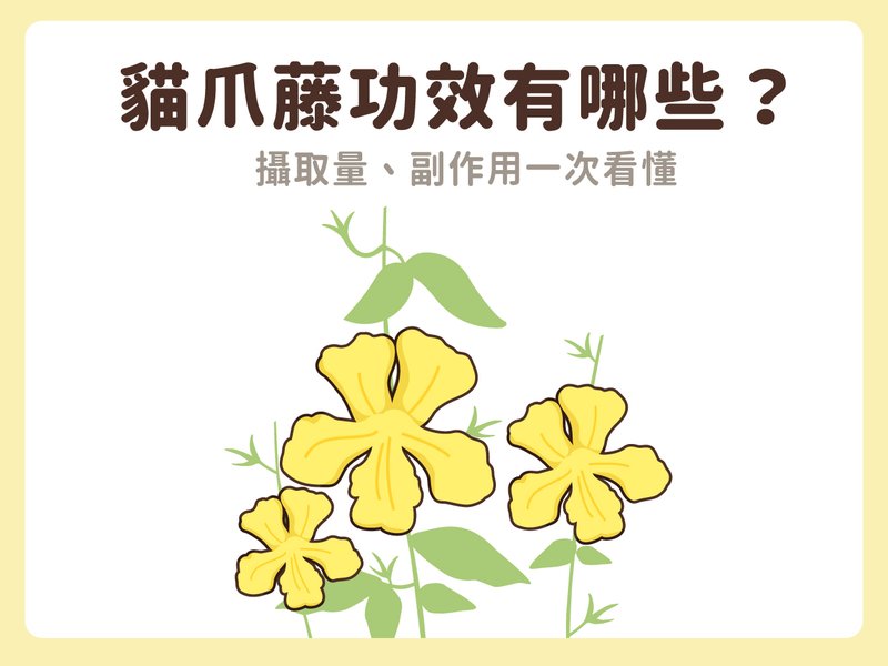 cat-claw-vine-all-effects-qn3w8k31