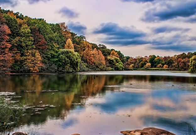 tranquil nature pathway and open landscape