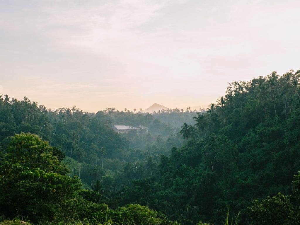 lush indonesian landscape with reforestation