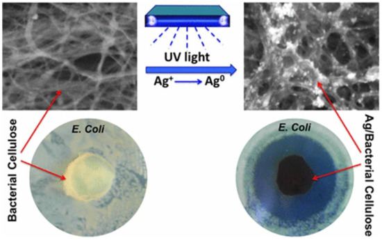 cellulose nanoparticles dispersion in composite materials
