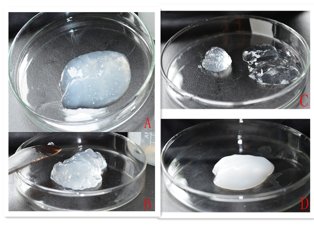 cellulose nanocrystals in laboratory