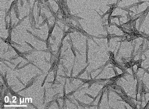 cellulose nanocrystals microstructure