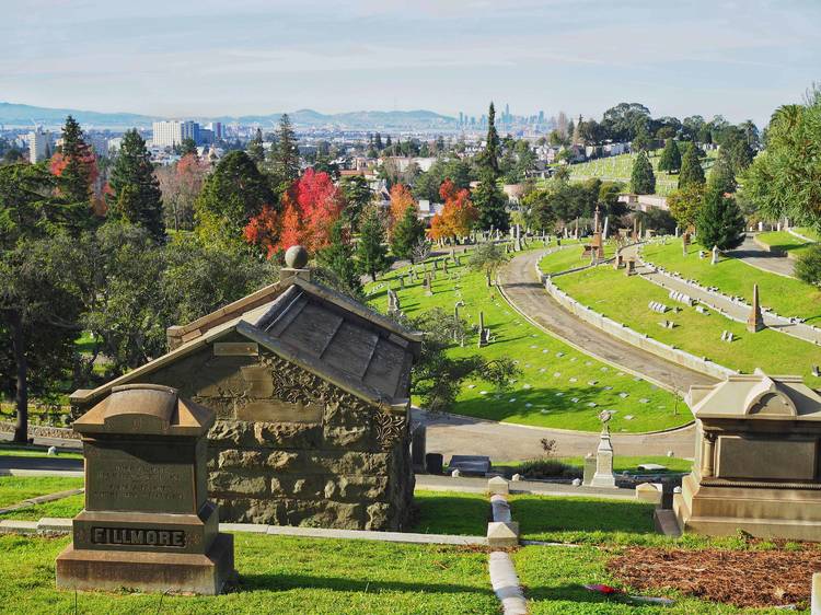 scenic view of cemetery landscape