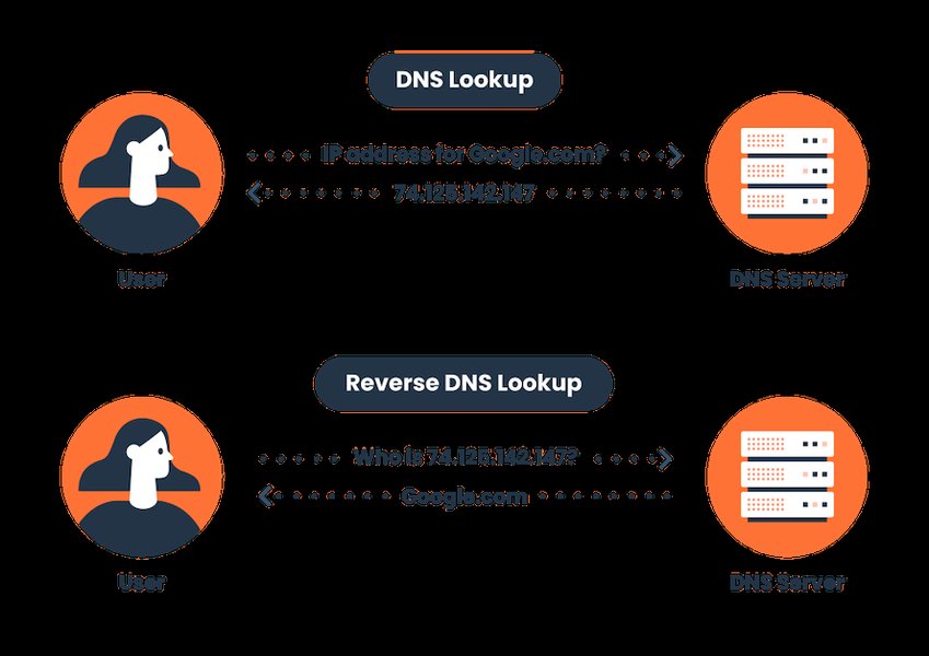 check-public-ip-domain-brwmj94a