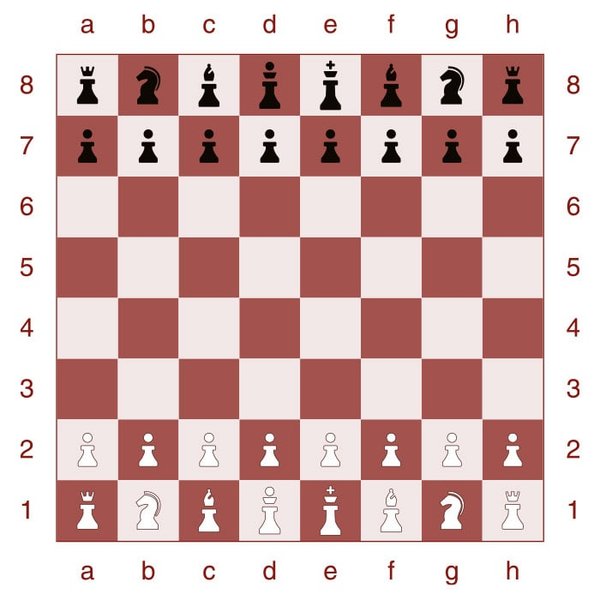 chess-possible-moves-explained-8h8neemn