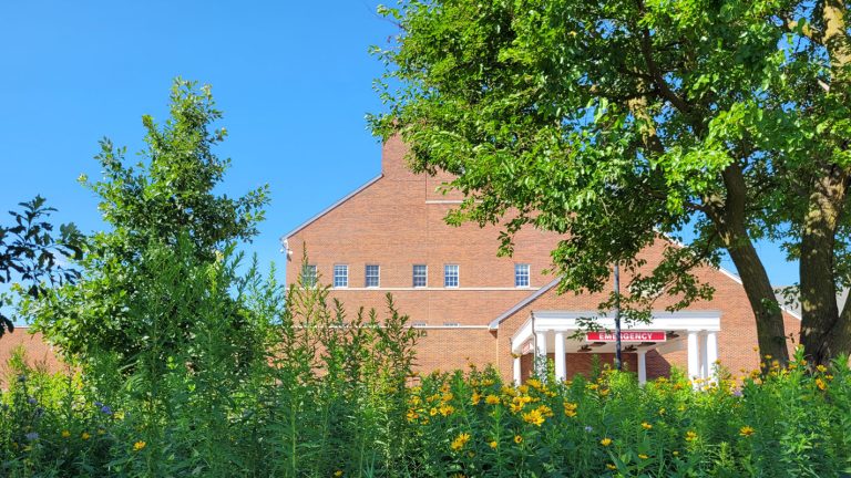 scenic landscape hospital care facility