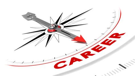 diverse careers and aspirations
