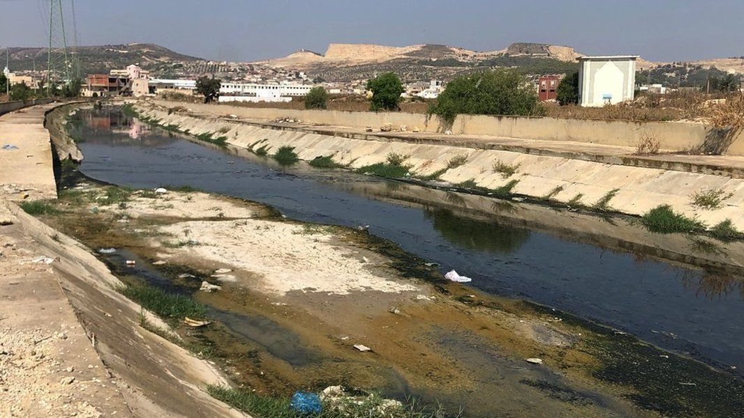 صورة لطائر متأثر بالتلوث البلاستيكي