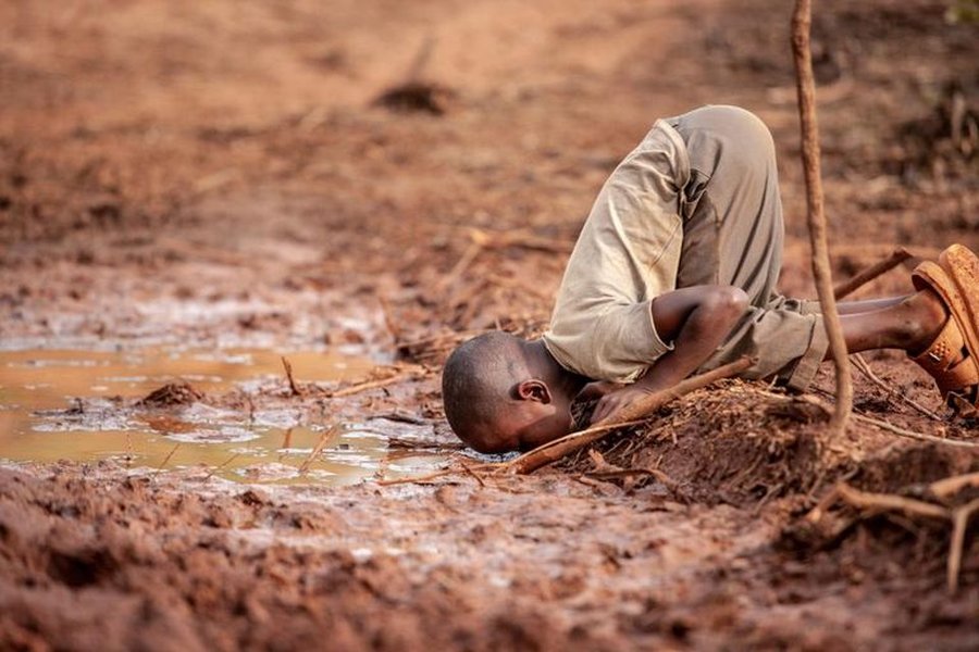 climate-change-causes-effects-avoidance-njsyowls