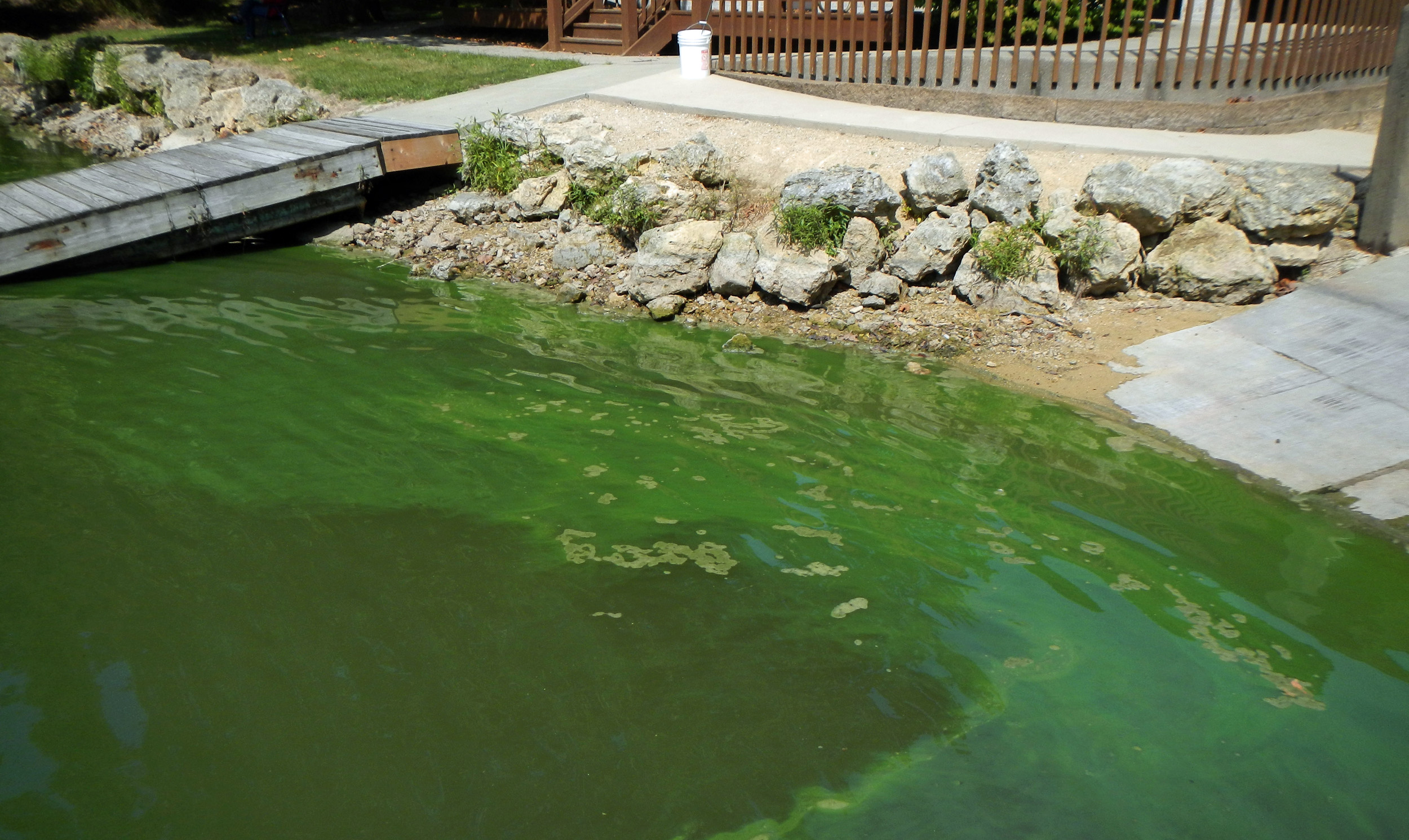 algal bloom water body