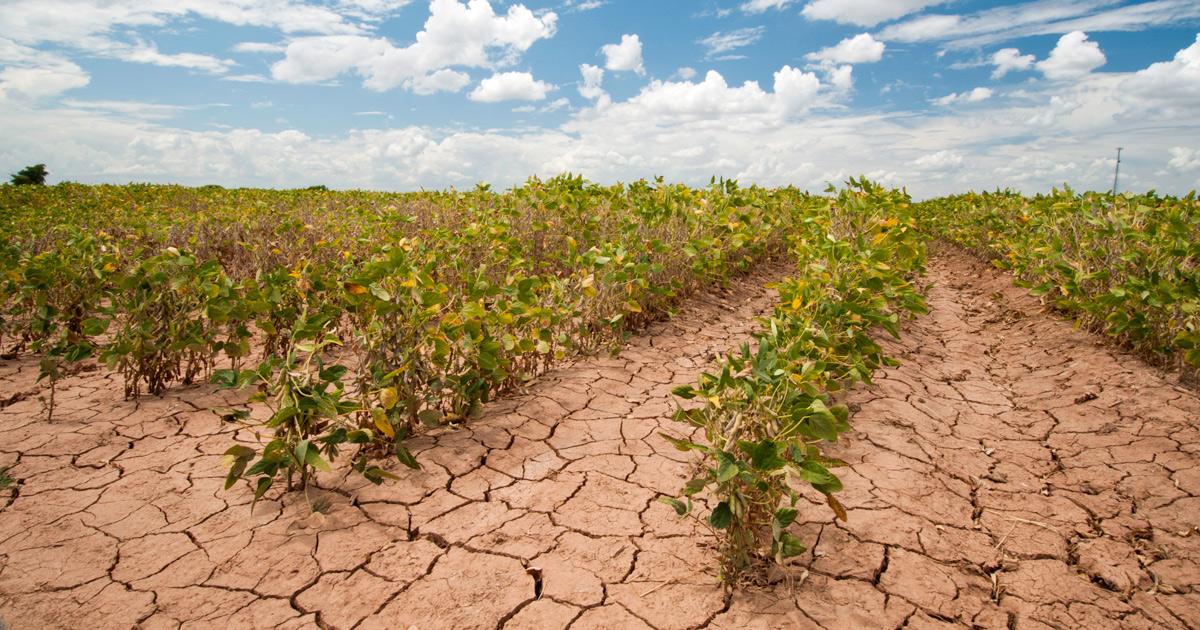 farming agriculture climate change