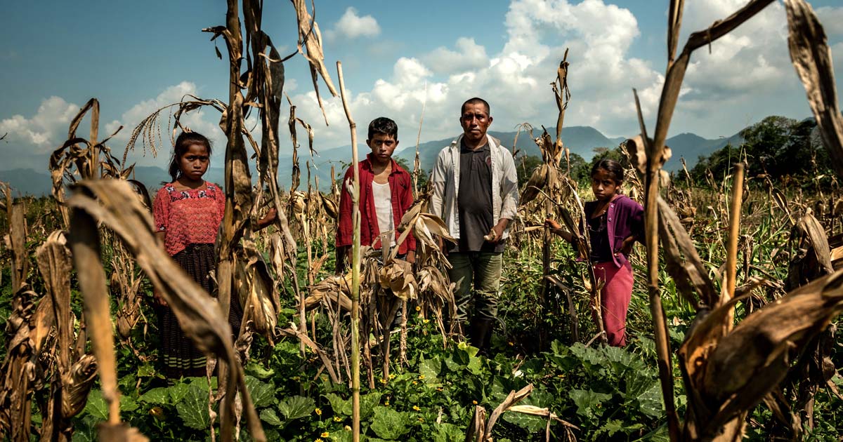 migrant workers in urban settings with climate change backdrop
