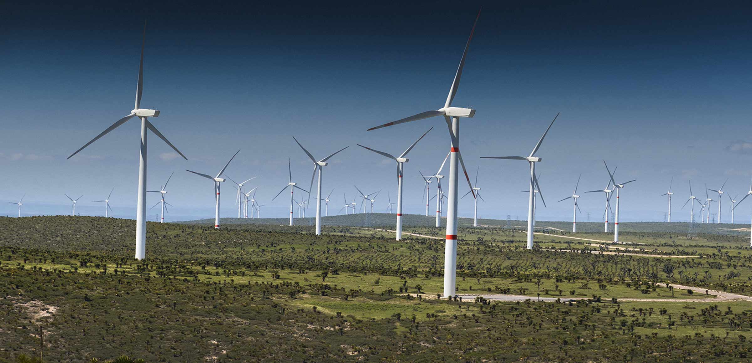 renewable energy wind turbine field