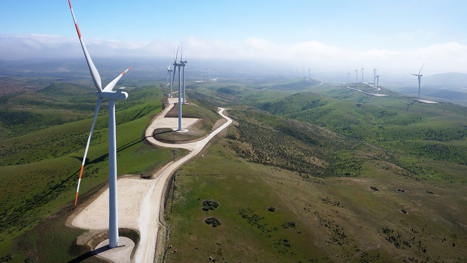 renewable energy wind turbines forest reforestation